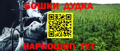 гашик Кулебаки