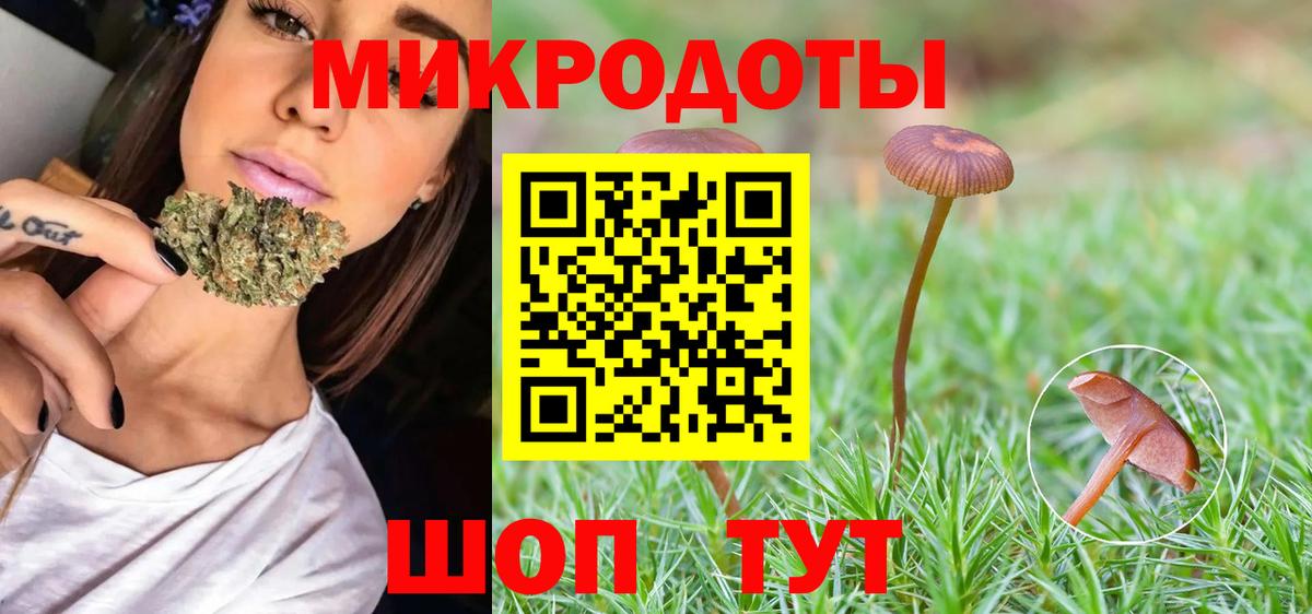 Галлюциногенные грибы Cubensis Железноводск