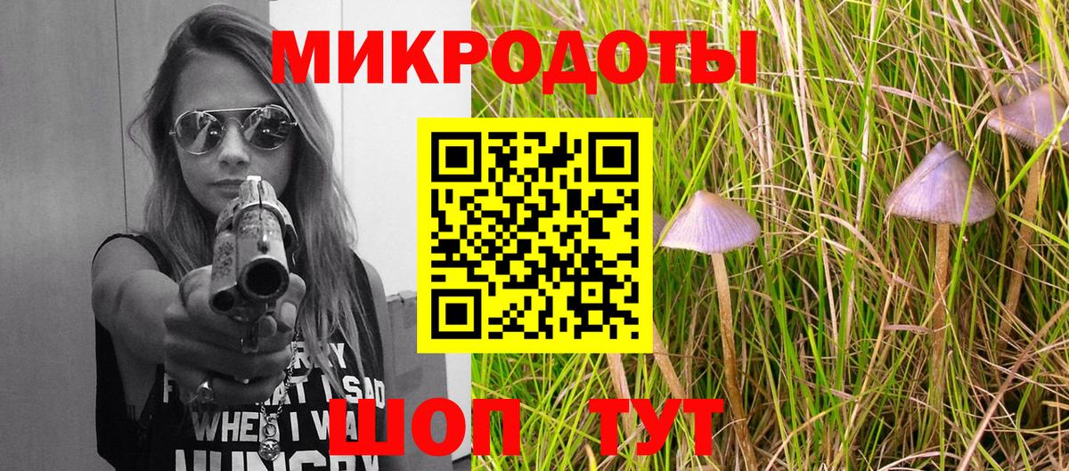 Железноводск  Галлюциногенные грибы прущие грибы  Вход с VPN  Галлюциногенные грибы мухоморы 