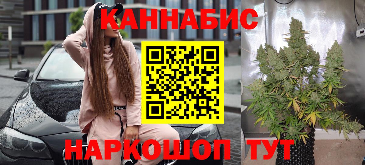 Бошки марихуана планчик  Конопля план  Вход с VPN  Железноводск 